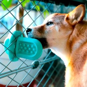 Diggs Groov Training Aid NWT